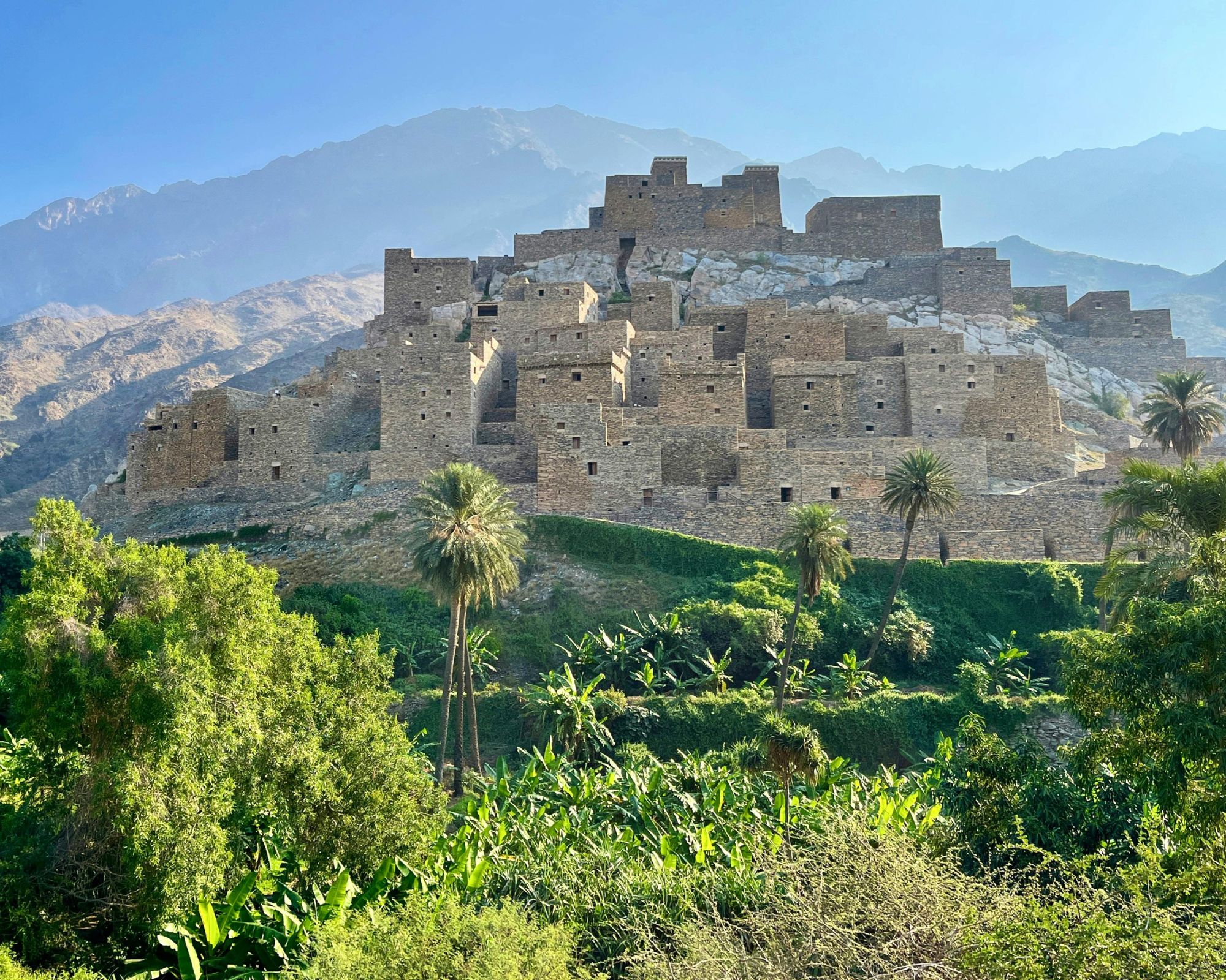 راز سبز شدن بیابان‌ها؛ عربستان با فناوری‌ جدید ۴۰ میلیون هکتار زمین را احیا می‌کند