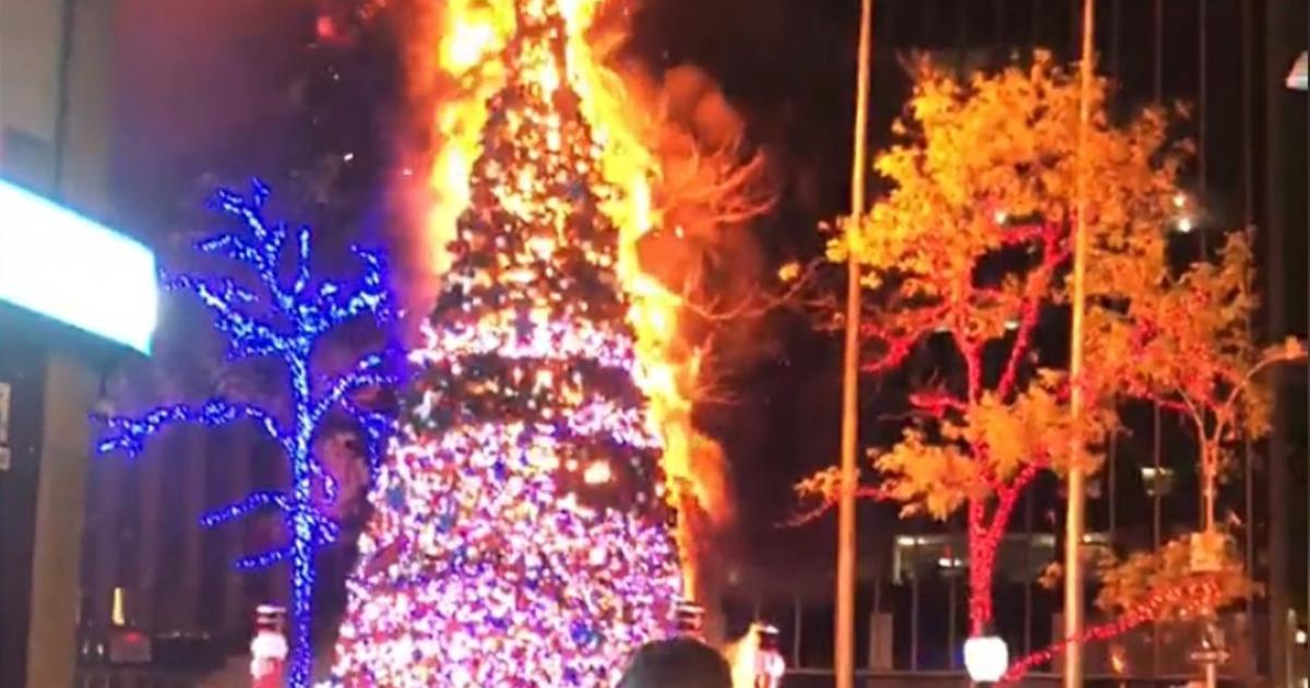 Поджог елки. Протесты в албании. Сожгли елку. Горящая новогодняя елка. Южно сахалинск елка сгорела.