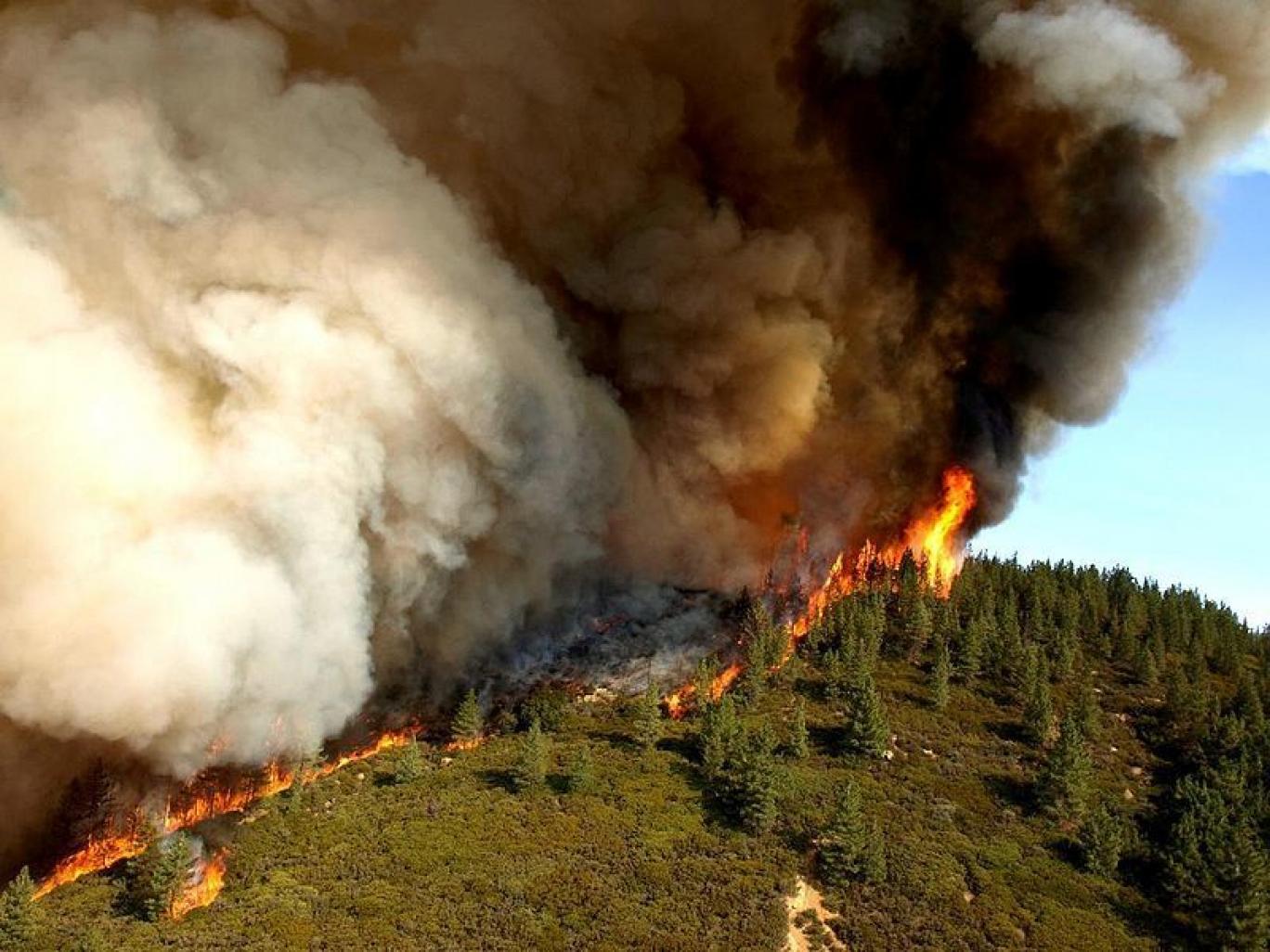 Загрязнение воздуха пожары. Лесные пожары. Антропогенные пожары в лесу. Загрязнение атмосферы пожарами.