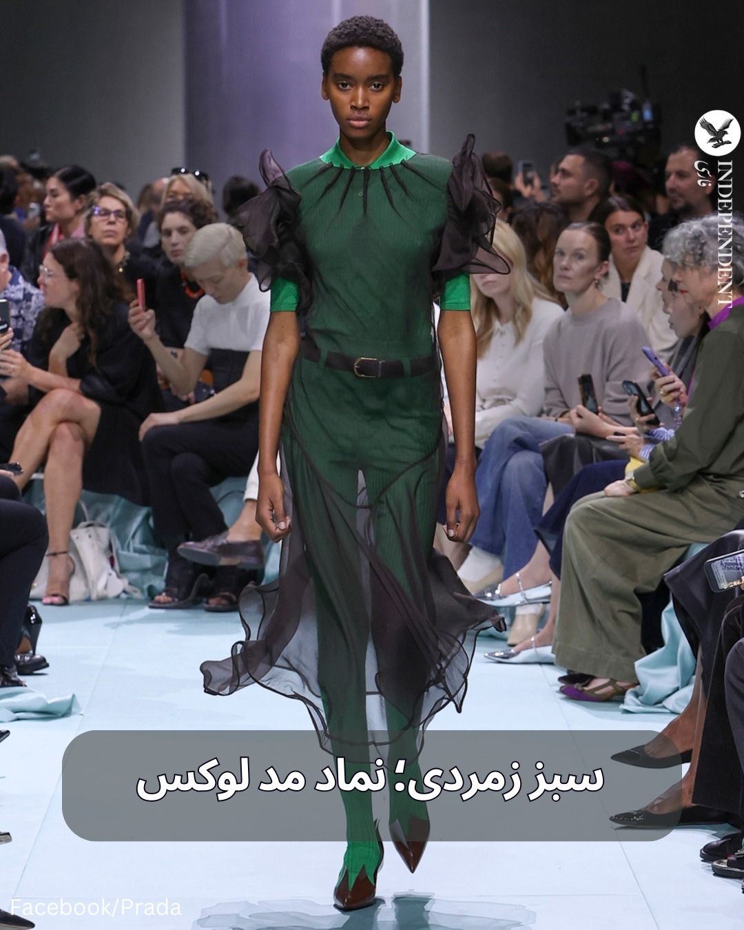 سبز زمردی رنگ سال ۲۰۲۵.jpg