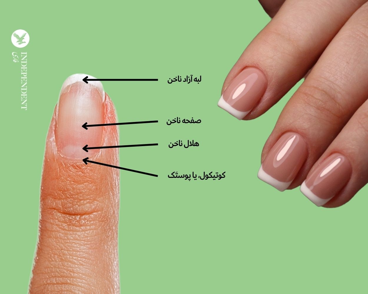 مانیکور روسی یا مانیکور خشک.jpg