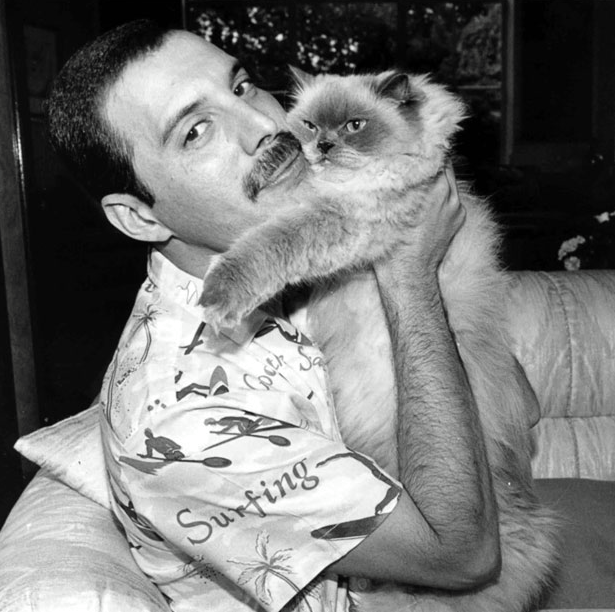 Freddie Mercury (1).png